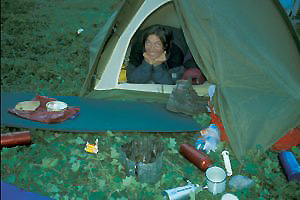 picture002.jpg