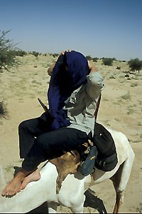 picture007.jpg